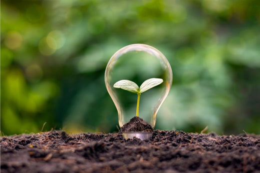 The Blueprint for Behavior Change: How to Break Free from Old Patterns